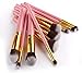 Ammiy 10PCS Professional Premium Kabuki Makeup Brush Set Pink Golden Kit With Case