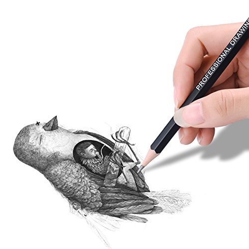 14Pcs/Set Art Sketch Pencils - 12B,10B,8B,7B,6B,5B,4B,3B,2B,B,HB,2H,4H,6H - Graphite Pencil for Adults & Kid Artists Drawing Beginners - 2H Pencil - Thumbnail 5