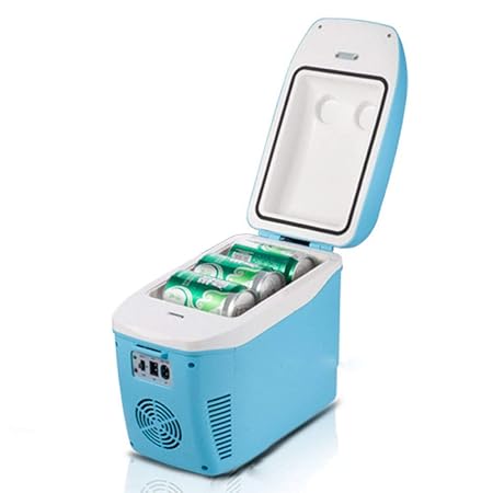 ZBYY Refrigerador del Coche Refrigerador Fresco Eléctrico De La ...