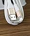 Zeuste Lightning Charging Cable for iOS Devices, 3-Pack (3 Feet, 6 Feet, 10 Feet) - Gold