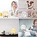 Small Table Lamp for Bedroom - Moon Lamp, Kids Night Light Bedside Lamps for Night Stands, Dimmable Bedside Table Lamp with 30 Modes, Desk Lamp for Living Room, Dorm, Boys Girls Birthday Gifts -Moon