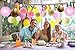 Paxcoo Pink and Gold Party Supplies for Birthday Decorations (Pink and Gold Party Supplies)