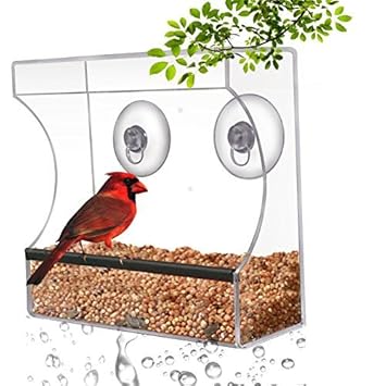 Crystal Clear Bird Feeder Suction Window Feeders Birds Cats And