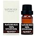 Nature Hue - Cinnamon Bark Essential Oil 10 ml, 100% Pure Therapeutic Grade, Undiluted