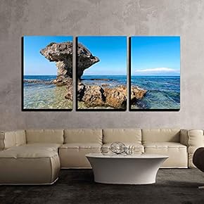 3 Piece Canvas Wall Art - Flower Vase Coral Rock with Blue Sky - Modern Home Art Stretched and Framed Ready to Hang - 16"x24"x3 Panels