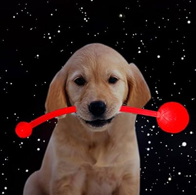 LED Frisbee Pelota del Perro juguete tiro bola luminosa de 3 ...