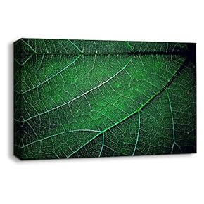 Leaf Veins Pictures Home Wall for Bedroom Living...