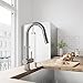 VIGO Gramercy 17'' H Single Handle Pull-Down Spout Kitchen Faucet in Stainless Steel-VG02008ST