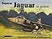 Sepecat Jaguar in Action - Aircraft No. 197