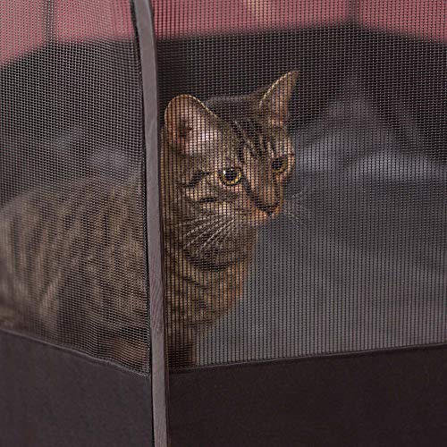 Easyology Pet Playpen for Indoor Cats and Small Dogs - 23” Tall x 30” Wide - Claw-Proof Mesh, Thick Zippered Foldable Pet Playpen - Travel Cat Kennel/Cat Crate with 10 Second Setup - Animal Playpen - Thumbnail 4