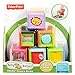 Fisher-Price Silly Safari Stackin' Sensory Blocks