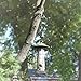 Hanging Chain, 35 Inch, Black, For Bird Feeders, Planters, Fixtures, Lanterns, Suet Baskets, Wind Chimes and More! Outdoor / Indoor Use…