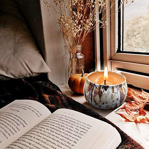 YINUO LIGHT Scented Candles Gifts Set for Women Aromatherapy Candles Stress Relief, Upgraded Large Tin of Soy Candle Scented Lavender Candle, Gifts for Women Birthday Gifts