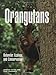 Orangutans: Behavior, Ecology, and Conservation (The MIT Press)