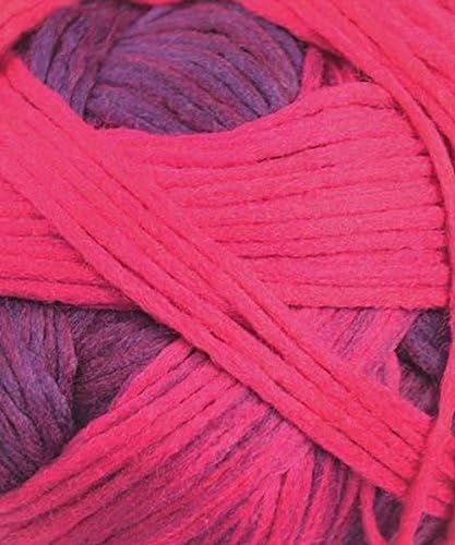Schoppel Yarn Gradient #2095 Indian Red