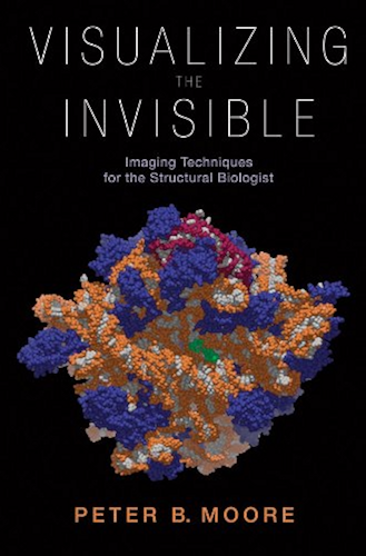 Download Visualizing the Invisible: Imaging Techniques for the Structural Biologist (English Edition) PDF