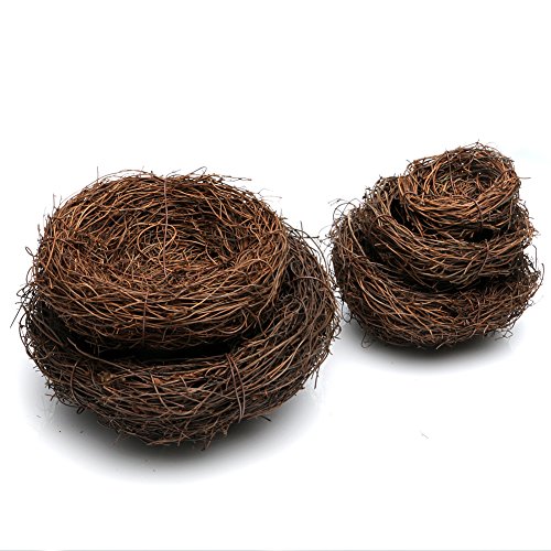 image for Delight eShop, Handmade Bird Nest House(Vine), Home Nature Craft best 
