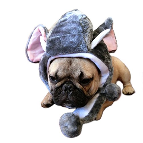 Alfie Pet by Petoga Couture - Tracy Elephant Hat for Party Halloween Special Events Costume (for Small Dogs & Cats)