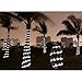 LE® 23ft LED Solar Rope Lights, Waterproof, 50 LEDs, 1.2 V, Daylight White, Portable, with Light Sensor, Outdoor Rope Lights, Ideal for Christmas, Wedding, Party