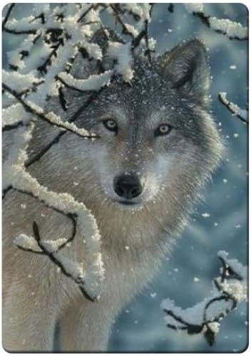 Winter wolf fridge magnet