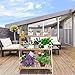 Wood Ladder Plant Stand, 3 Layer Foldable Freestanding Flower Pot Rack Plant Display Shelf Storage Stand with Gardening Tools, Glove, Screwdriver for Indoor Outdoor Greenhouse Balcony Living Room Gardthumb 2