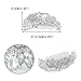 EVER FAITH Women's Austrian Crystal 5 Inch Bridal Flower Bouquet Hair Side Comb Clear Silver-Tone