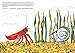 Una casa para Cangrejo Ermitaño (A House for Hermit Crab) (The World of Eric Carle) (Spanish Edition)