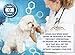Arava Natural Flea & Tick Prevention for Dogs & Cats - 4-Doses - 100% Safe Flea & Tick Control - Repels Pests with Natural Oils - Safe on Skin and Coats - Enhanced Defense & Prevention (4 Variations)
