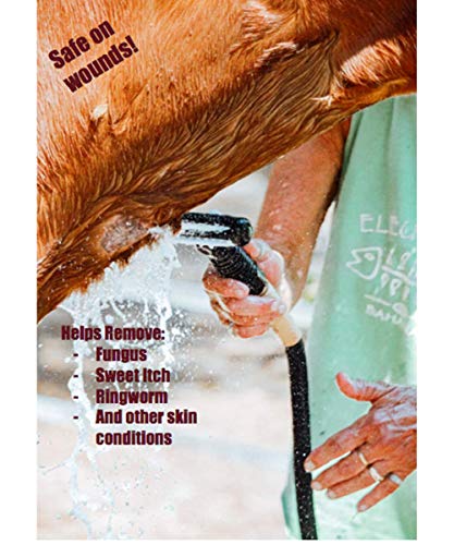 image for Aqua Comb for Horses - Instantly Wets Tail & Mane - Cleaning, Massager