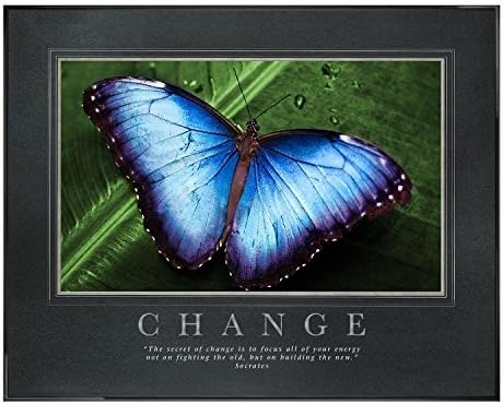 25 In. black Aluminum Frame, Gunmetal Mats with Foil Stamping - Change Butterfly Motivational Poster