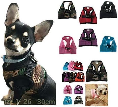 XXXS XXS XS Tiny Teacup Chihuahua Puppy Dog Harness with Clip for TINY Teacup Miniature Breeds Kitten Yorkie Maltese Terrior Puppy Dogs (XXS
