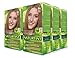 Naturtint 8N Wheat Germ Blonde Permanent Hair Color (Pack of 6), Ammonia Free, Vegan, Cruelty Free, up to 100% Gray Coverage, Long Lasting Results (Packaging may vary)