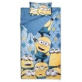 Despicable Me 2 Piece Sleepover Set