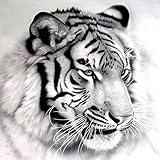Gracefulvara 5D Tiger Diamond Embroidery Painting Home Decor Cross Stitch DIY Craft