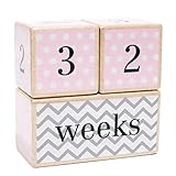 Premium Solid Wood Milestone Age Blocks | Choose From 3 Different Color Styles (Pink) | Baby Age Photo Blocks | Perfect Baby Shower Gift and Keepsake by LovelySprouts