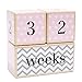 Premium Solid Wood Milestone Age Blocks | Choose From 3 Different Color Styles (Pink) | Baby Age Photo Blocks | Perfect Baby Shower Gift and Keepsake by LovelySprouts