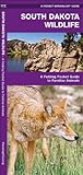 South Dakota Wildlife: A Folding Pocket Guide to Familiar Species (Pocket Naturalist Guide Series)
