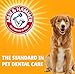 Arm & Hammer for Pets Clinical Care Dental Enzymatic Toothpaste for Dogs Soothes Inflamed Gums Safe for Puppies 1 Pack Fresh Breath Vanilla Ginger (Pack of 1)