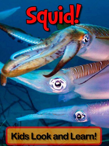 Squid! Learn About Squid and Enjoy Colorful Pictures - Look and Learn! (50+ Photos of Squid)