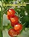 le potager facile ; 40 légumes à cultiver en toute simplicité by