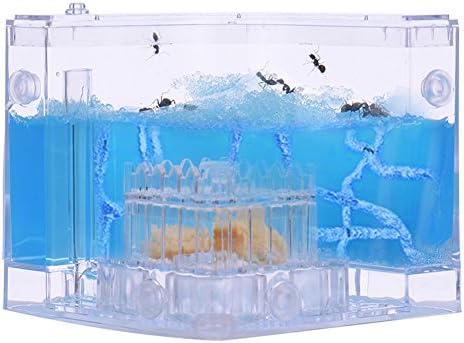 OSHIDE Ant Farm Maze with Feeding System,Environmental Science Education Toys For Kids Insect Terrarium Pet Toys Fun Gifts