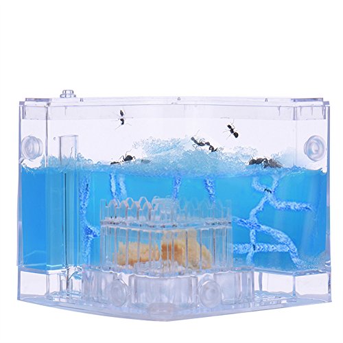 OSHIDE Ant Farm Maze with Feeding System,Environmental Science Education Toys For Kids Insect Terrarium Pet Toys Fun Gifts