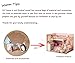 Cuteroom Dollhouse Miniature DIY Kit with Cover Wood Toy doll house room Kitten Diary