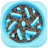 Wisspet Slow Feeder Dog Bowl - Bloat Preventing Feeder Anti Gulping(Fan shape, Blue)