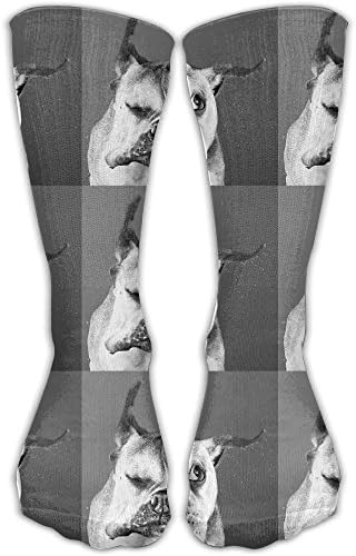 Corgi Lve Sport Tube Stockings Women & Men Knee High Long Soccer Socks