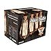 Original Edison Vintage Bulbs - 6 pack - Blaze Bulbs - 60W Incandescent Industrial Bulb - 250 lumens - Clear Glass - Long Life Handmade ST64 Squirrel Cage - Dimmable