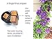 Narrow Clematis Plant Trellis for Climbing Plants Outdoor Support Vines on Deck Post and Other Tight Spaces (1 Pack)