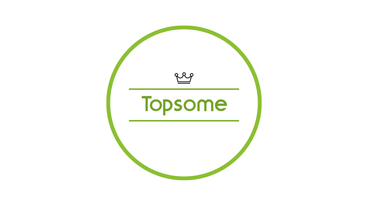 6 Topsome+Watering+Automatic+Terracotta+Self+Watering