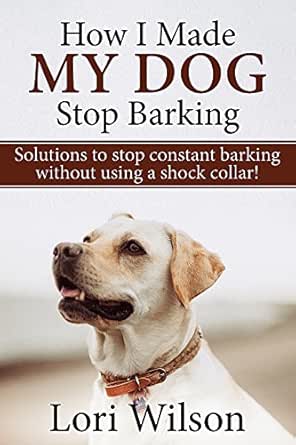 how to get my dog to stop barking
