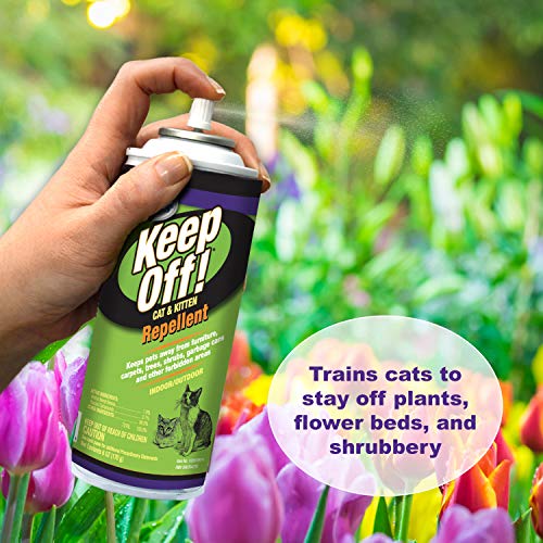Four Paws Keep Off! Cat Repellent Spray Outdoors & Indoor 6 Ounces Pricepulse